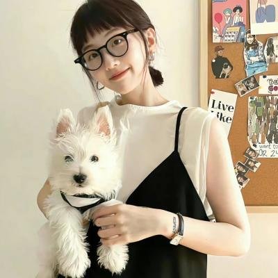 狸想世界