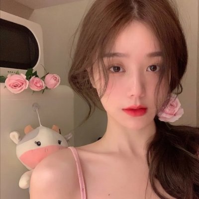 螳螂捕蝉,黄雀在后